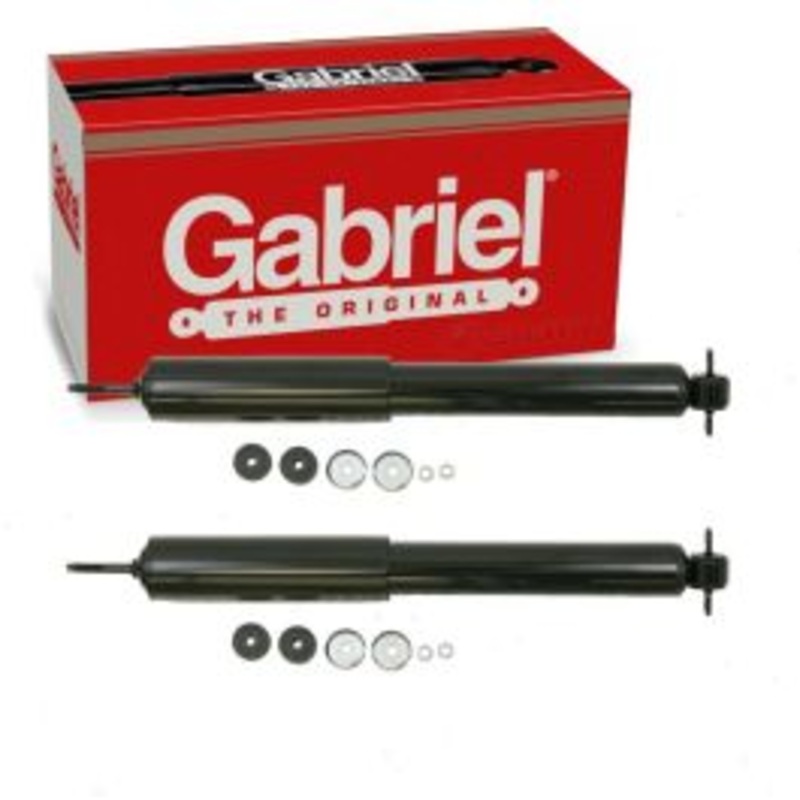 2 pc Gabriel ProGuard 61664 Shock Absorbers