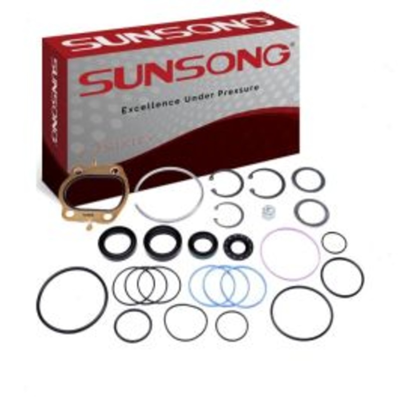Sunsong Steering Gear Seal Kit for 1975-1979 Ford E-100 Econoline