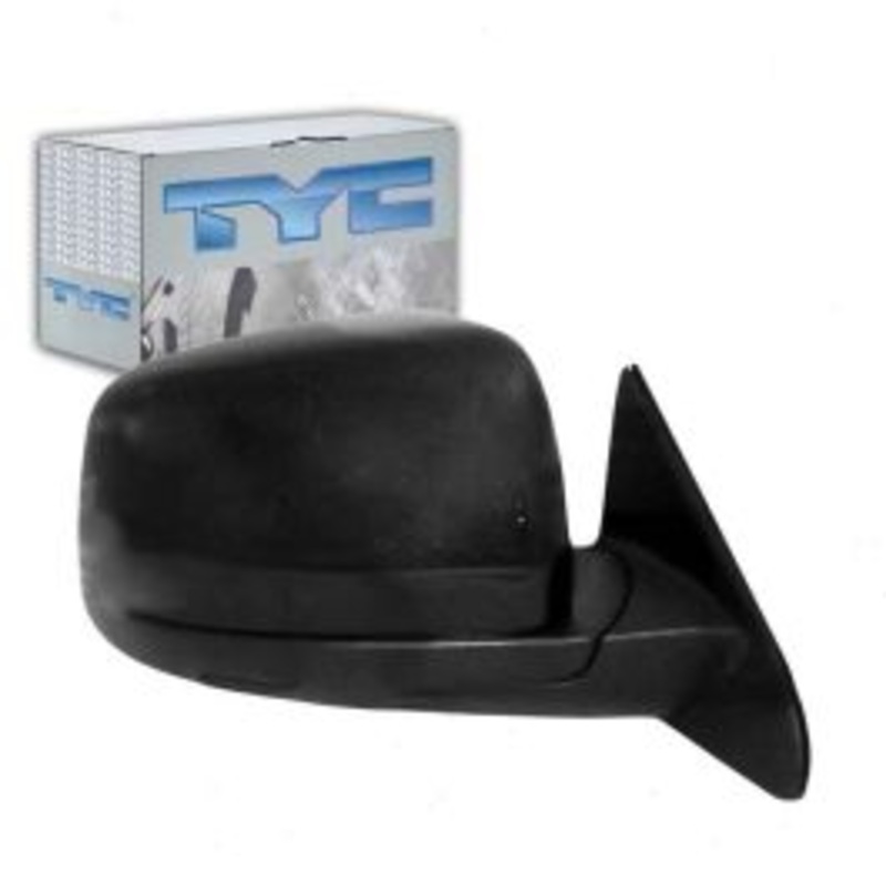 TYC 4120641 Door Mirror