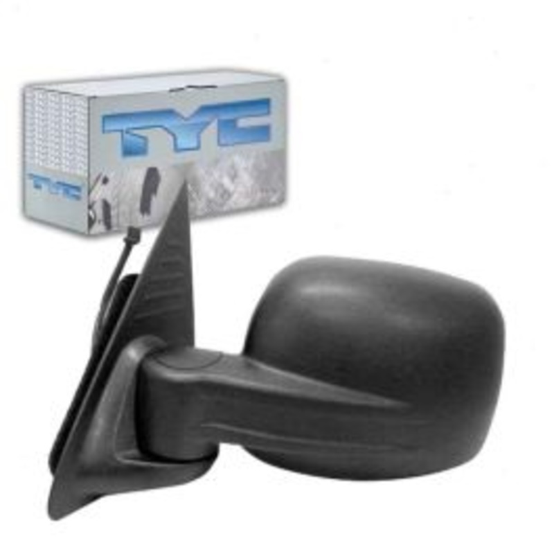TYC 4140042 Door Mirror