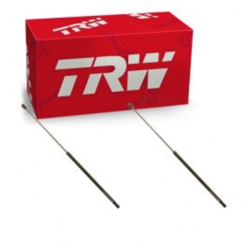 2 pc TRW TSG101026 Hood Lift Supports