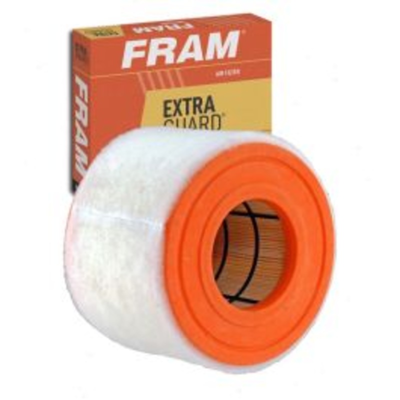 FRAM Extra Guard CA11424 Air Filter