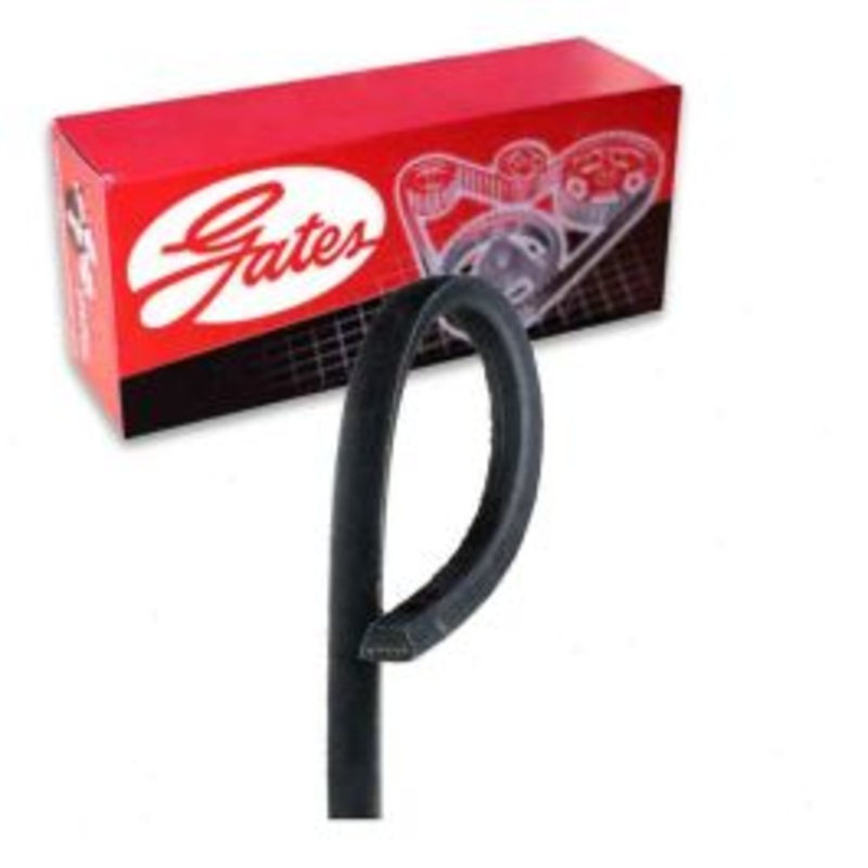 Gates TruFlex 3420 Accessory Drive Belt