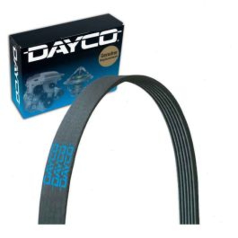 Dayco 5030250 Serpentine Belt