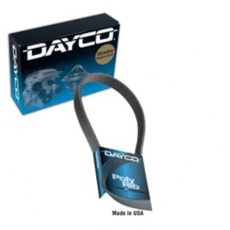 Dayco 5061070 Serpentine Belt