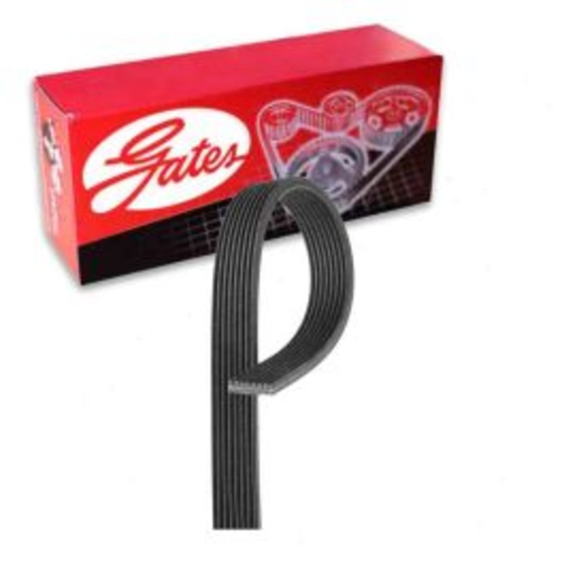 Gates Micro-V DK080555 Serpentine Belt
