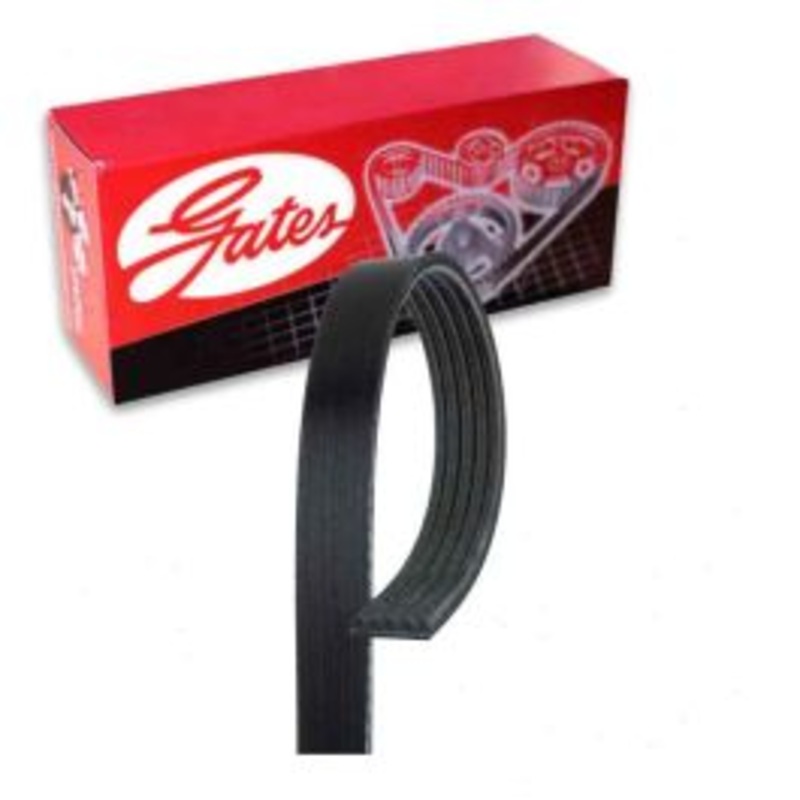 Gates Micro-V Serpentine Belt for 2014-2016 Audi RS7 4.0L V8