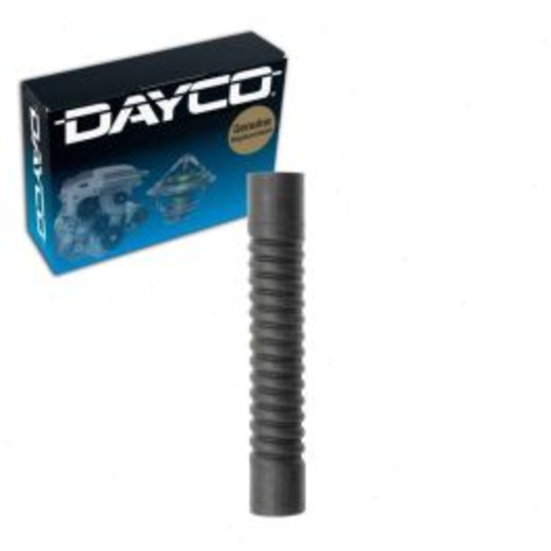 Dayco Lower Pipe To Radiator Radiator Coolant Hose for 1973 Mercedes-Benz 280C